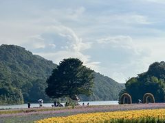 -广州市石门国家森林公园