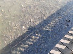 -宁波杭州湾国家湿地公园