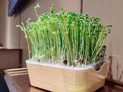 -海底捞火锅(银泰中心店)