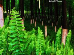 -重庆中央公园(渝北区)