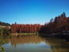 -星湖旅游景区七星岩