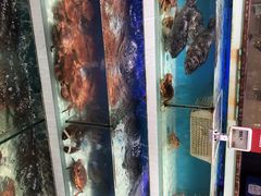 -盒马鲜生(红莲店)