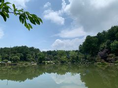 -铁山坪森林公园