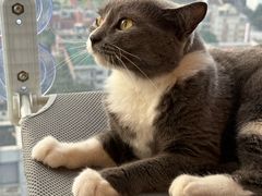 -Catmate·猫肥家润(金润铂宫店)
