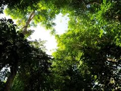 -野象谷景区