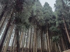 -太阳湾风景区