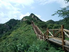 -大岭沟猕猴桃谷风景区