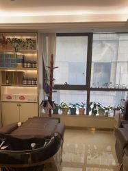 -碧莲盛·不剃发植发