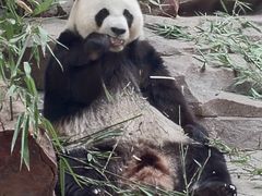 -宁波野生动物园