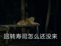 -清迈夜间动物园