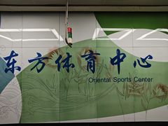 -东方体育中心(地铁站)