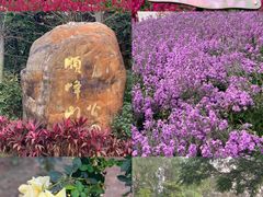 -顺峰山公园