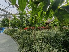 -南宫五洲植物乐园