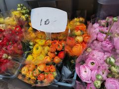 -循礼门鲜花花市(武汉循礼门店)