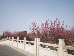 -东台西溪天仙缘景区