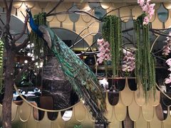 门面-雀蓝川菜(奥体广场店)