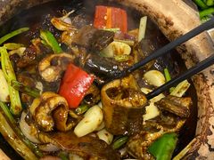 -天宝食坊·啫啫煲大排档(西华路店)
