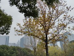 -中央公园(苏州工业园区)