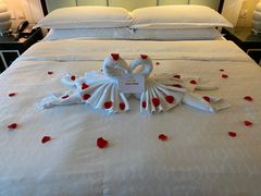 -澳门喜来登大酒店