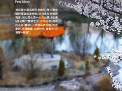 -芦芽山旅游度假区