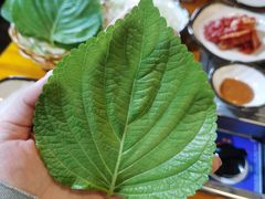 紫苏叶-红辣椒八爪鱼特色韩国料理