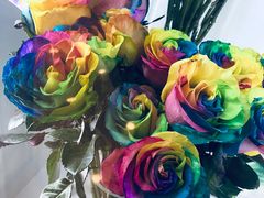 -ROSEONLY诺誓(国际广场购物中心店)