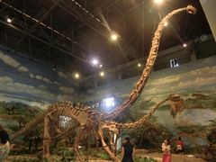 -自贡恐龙博物馆