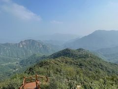 -大岭沟猕猴桃谷风景区