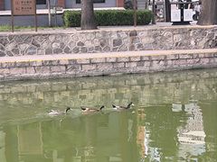 -团结湖公园