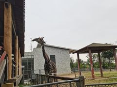 -石家庄市动物园