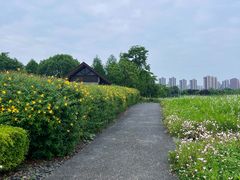 -洋湖国家湿地公园
