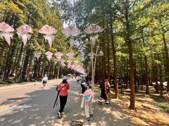 -日照海滨国家森林公园