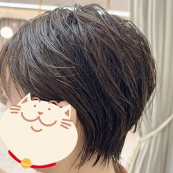 -侨治发型