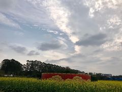 -光明小镇欢乐田园