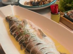 -颂福楼·南京菜(定淮门店)