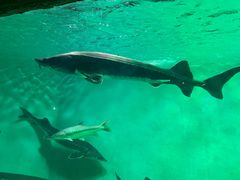 -太平洋海底世界