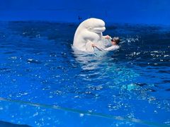 -太平洋海底世界