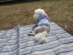 -白鹭湾湿地公园