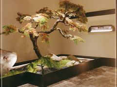 -湘上湘(米其林餐厅-正大中心总店)