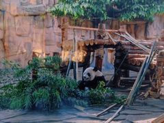 -泉州海丝野生动物世界