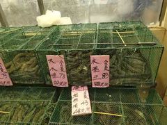 -荔城生鲜盛宴(番禺旗舰店)