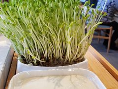手工面块-俏牛哥鲜牛肉牛肆馆(重庆天地店)