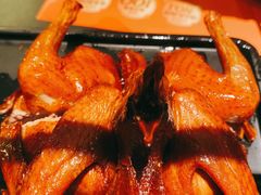 -羽鸽集·乳鸽专门店·地道顺德菜(岭南站店)