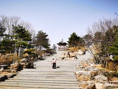 -大兴滨河森林公园