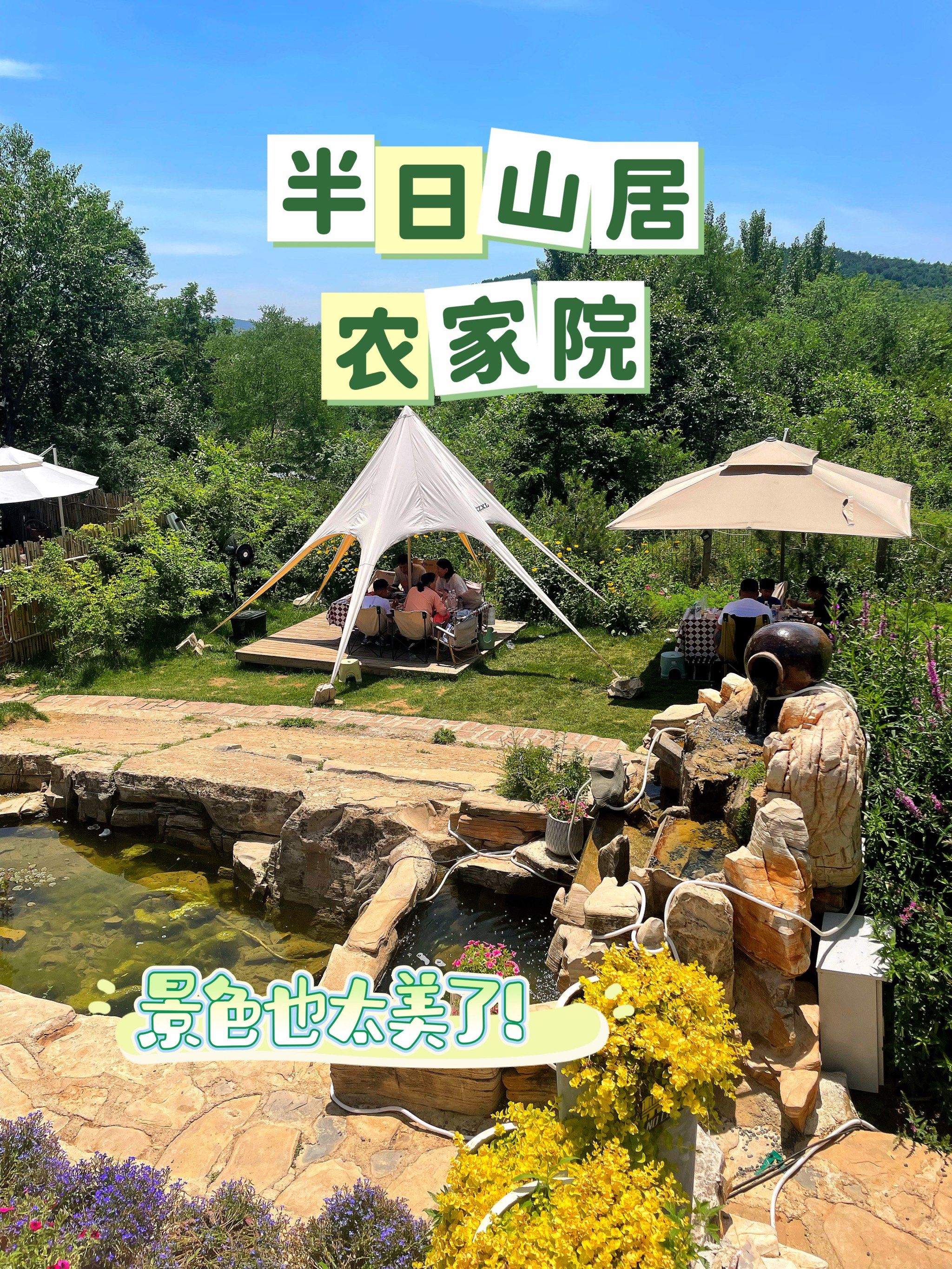 这是农家院吗?不,这是人间仙境!