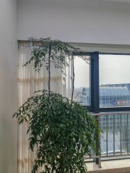 -HEYAN荷妍专业脱毛连锁机构