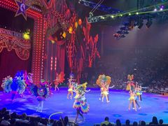 -珠海横琴长隆《卡卡虎奇遇记》