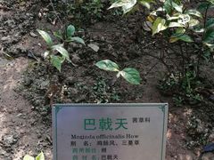 -广州神农草堂中医药博物馆