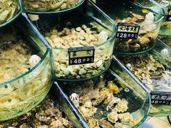 -烁佳海鲜大馅饺子