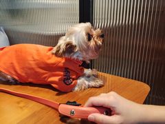 -Line来恩咖啡(石厦花园店)